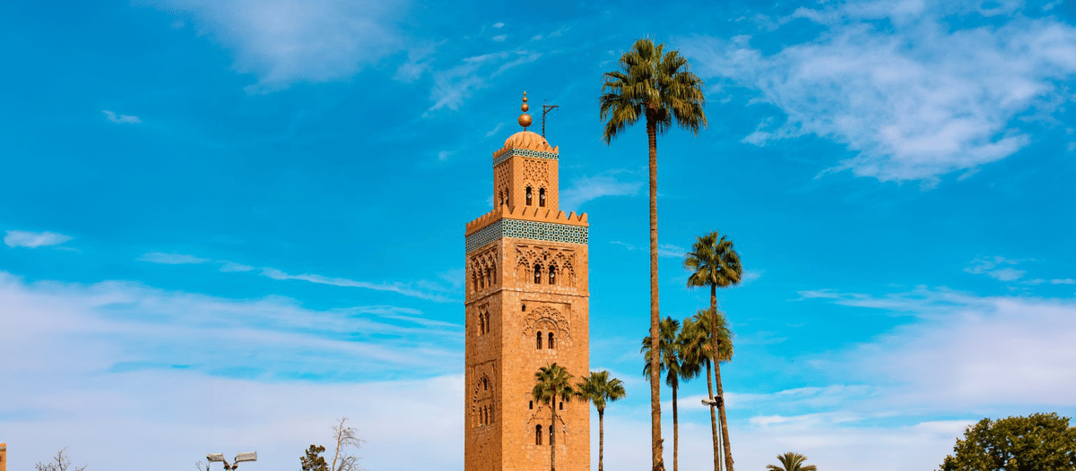 from agadir : Essaouira – guided day trip