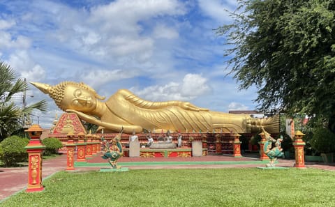Private City Tour with Female Driver in Vientiane