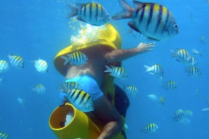 5 tours in 1 (Eco Farm/Horseback/City Tour/Buggy/Zipline)