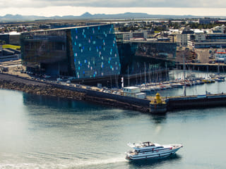 Harbor Cruise with Three Course Dinner from Reykjavik, photo 6