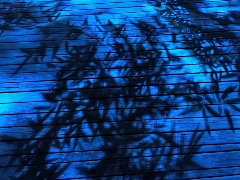 Xi'an: Firefly & Night Nature Discovery Private Evening Tour