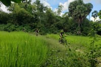 Angkor Jungle Biking Adventure Private Cycling Tour 8