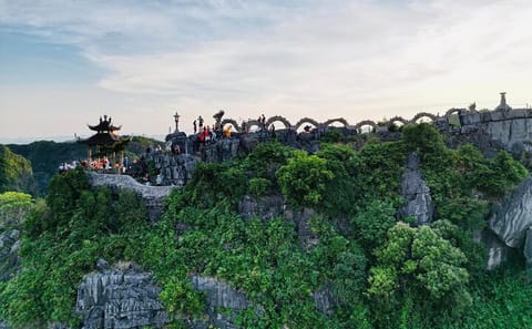 Ninh Binh Day Tour from Hanoi: Hoa Lu, Tam Coc, and Dragon Mountain