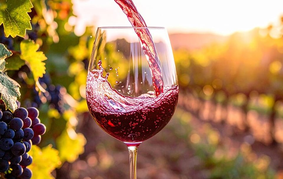 Wine Tasting and 4x4 Adventure in Madeira's Scenic Spots