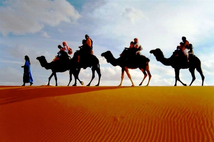 Merzouga Dunes Sunset Camel Ride in Morocco