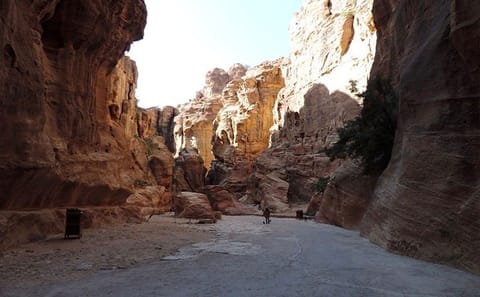 Private Full-Day Tour of Wadi Rum and Petra from Aqaba
