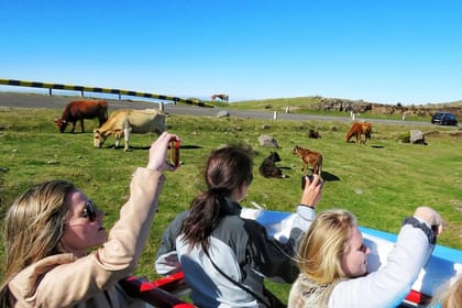 The best of SouthWest – open top roof 4×4 experience