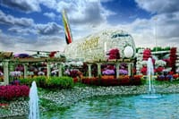 EK at Dubai Miracle Garden