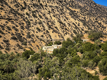 Half-Day Paradise Valley Tour in Agadir, Morocco