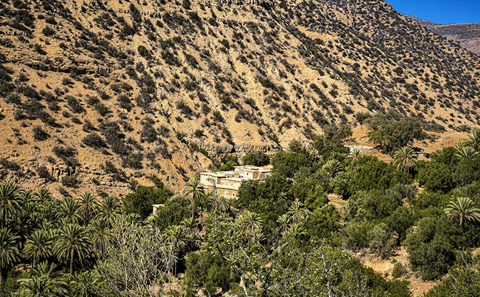 Half-Day Paradise Valley Tour in Agadir, Morocco