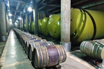Wine Lovers’ Tour: Kakheti, Kvareli & Kindzmarauli