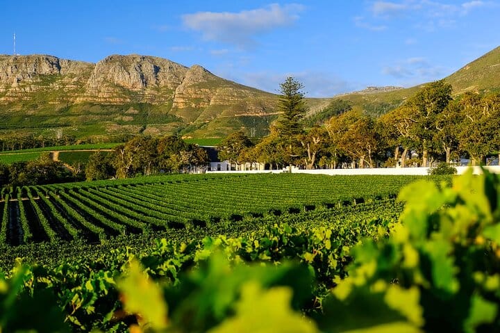 Cape Town Half-Day Tandem Paragliding and Wine Tasting Tour