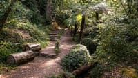 Private Coimbra & Buçaco Tour with Forest Walk & Palace 8