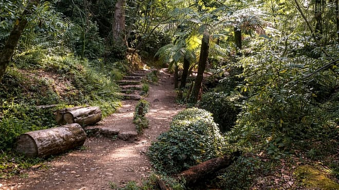 Private Coimbra & Buçaco Tour with Forest Walk & Palace 8