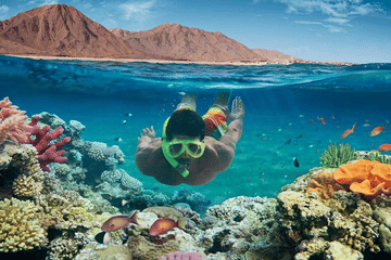 Snorkeling and Cruise Tour to Paradise Island, Hurghada