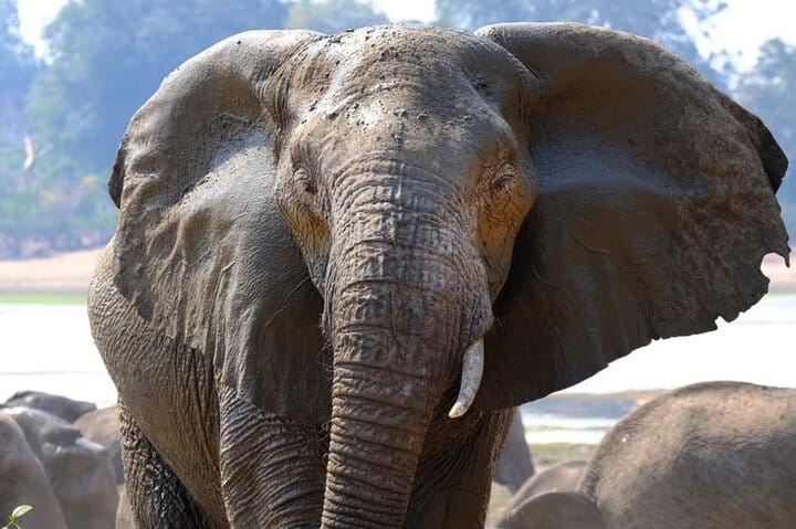 15 minutes scenic helicopter flight above Victoria Falls-Zimbabwe