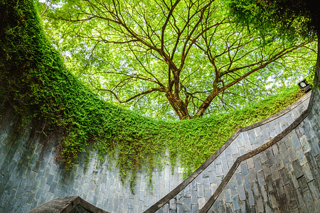 Explore Fort Canning Park & Civic District Heritage Walk in Singapore