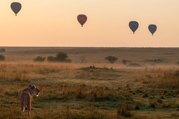 2 Days Private Safari To Maasai Mara National Reserve