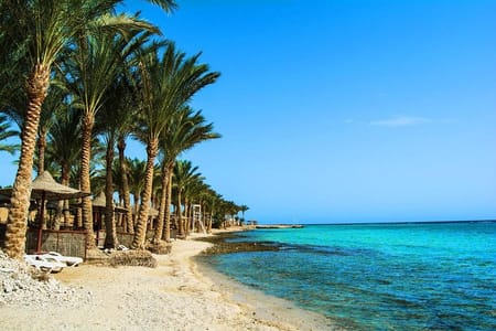 Snorkeling tour At Port Ghalib Marina from Marsa Alam