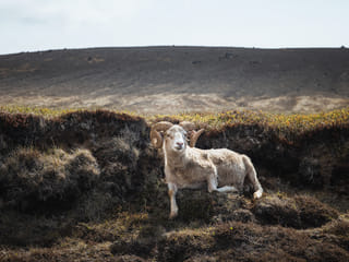Reykjanes Peninsula | Private Tour | Photo Package Included, photo 21