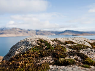 Hidden Fjord Escape , photo 19