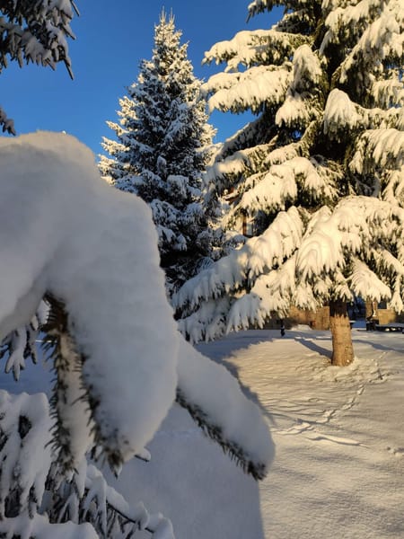 Things to do in Vitosha