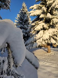 Private Snowshoeing Vitosha for 1 day