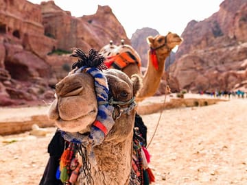 Wadi Rum
