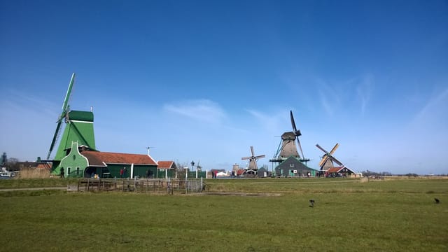 Private Tour: Zaanse Schans from Amsterdam
