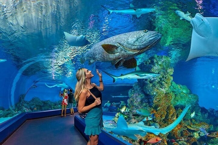 Grand Aquarium Hurghada
