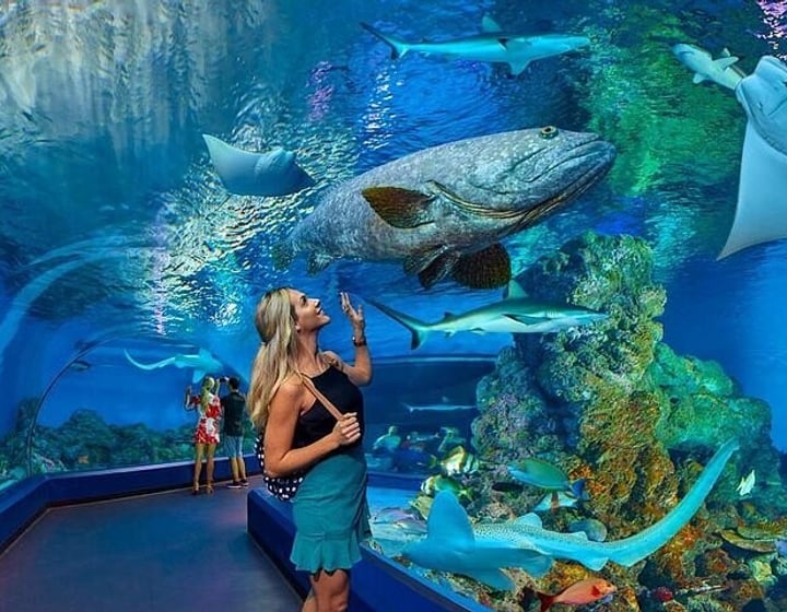 Grand Aquarium Hurghada