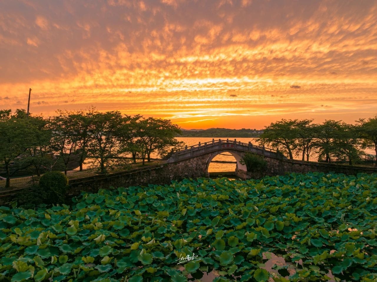Singapore Tours_Private Tours_Tour Guide Helena with Guest at Raffles Hotel (1).avif