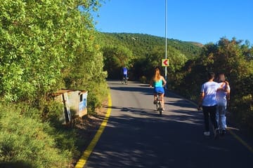 Princes’ Islands ( Büyükada ) E-bike Tour
