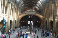 A Day At The Museum - Natural History Museum London 10
