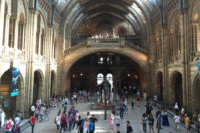 A Day At The Museum - Natural History Museum London 10