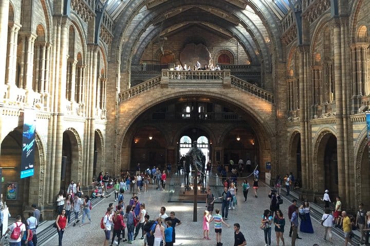 A Day At The Museum - Natural History Museum London 10