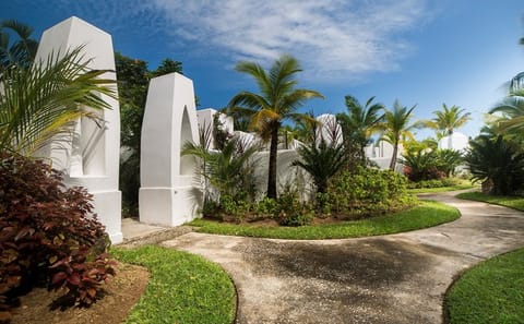 Pemba in Bloom: 5 Days of Pure Bliss on Zanzibar’s Hidden Green Paradise