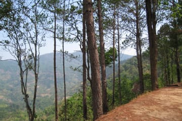 Advanced Mountain Biking Tour in Suthep, Chiang Mai