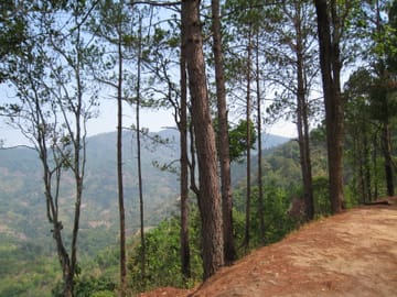 Chiang mai Suthep National Park Leisure Hiking & Mountain Biking