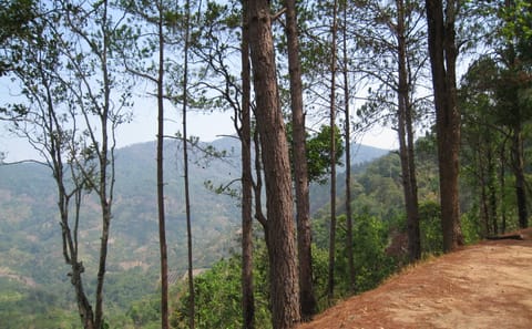 Advanced Mountain Biking Tour in Suthep, Chiang Mai