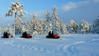 Snowmobile Whole Day Adventure - Small Group 5