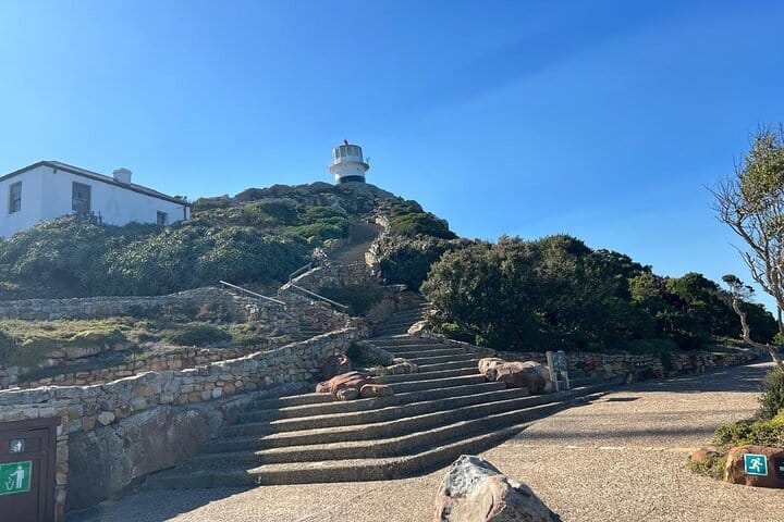 Full-Day Cape of Good Hope and Table Mountain with Penguins Tour