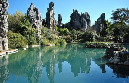 Stone Forest and Jiuxiang Cave Day Tour in Yunnan