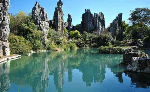 Stone Forest and Jiuxiang Cave Day Tour in Yunnan