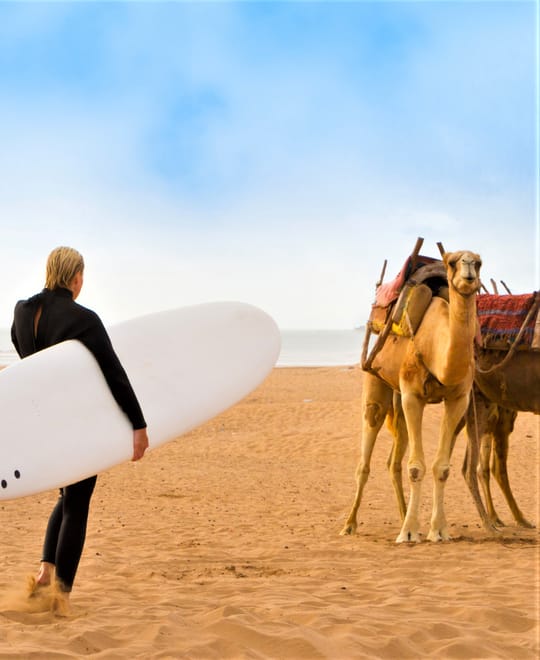 Surf Trip from Marrakech to Essaouira Waves | 1 Day : Private & Luxury 5