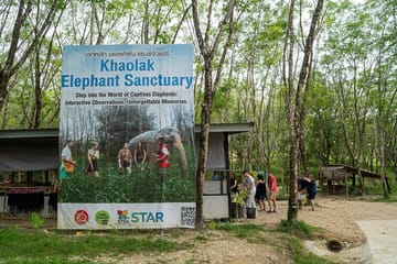 1-Hour Guided Khaolak Elephant Sanctuary Observation Tour