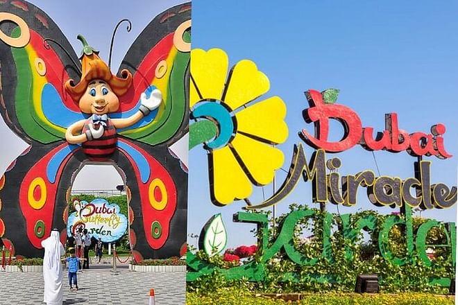 Combinación: entrada al Dubai Miracle Garden y al Butterfly Garden