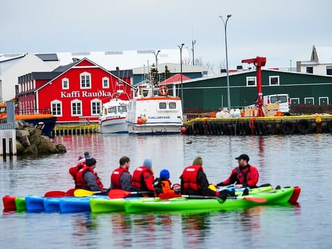 Guided kayak tour in Siglufjörður / Siglufjordur., photo 4