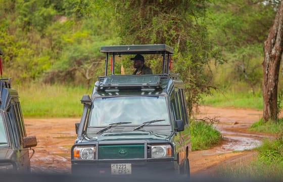 Tanzania Classic Safari 3 Days / 2 Nights