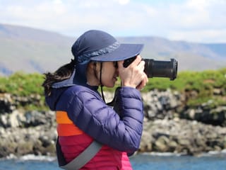 Reykjavík Classic Puffin Watching, photo 20